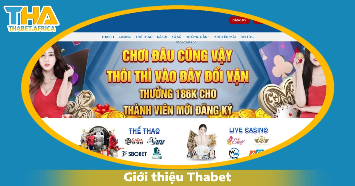 Giới Thiệu Thabet 2 Thabet có đáng tin cậy không?