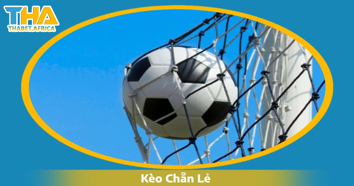 Kèo Chẵn Lẻ: Cách Đọc Kèo & Đặt Cược Hiệu Quả Tại Thabet 3 Khi nào nên đặt cược vào kèo chẵn/lẻ?