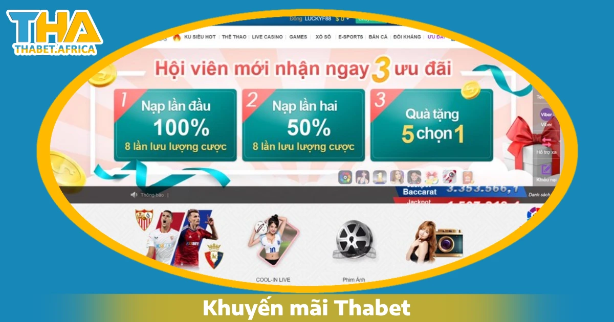 Thabet 29 Khuyến mãi và ưu đãi tại Thabet