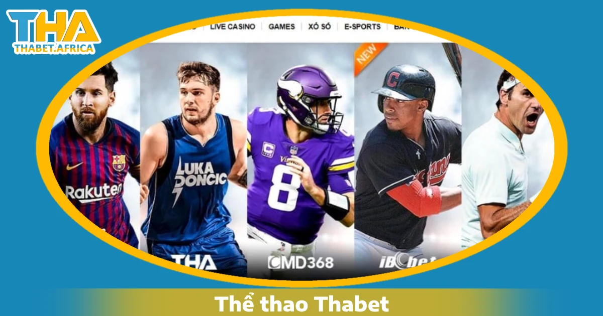 Thể thao Thabet 1 Lý do nên chọn cá cược thể thao Thabet